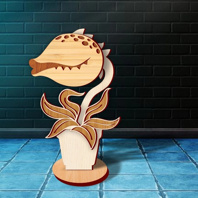Venus Flytrap Pot
