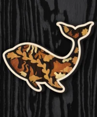 Multilayer Dolphin