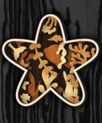 Multilayer Starfish