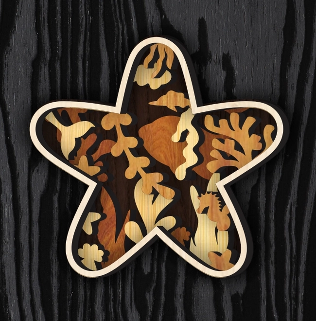 Multilayer Starfish