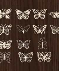 Butterfly Butterfly