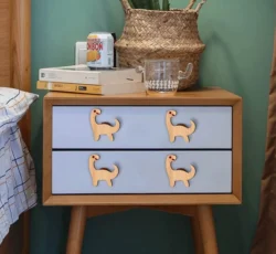 Drawer Knob With Dinosaur