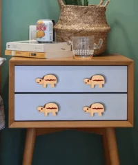 Drawer Knob With Turtle